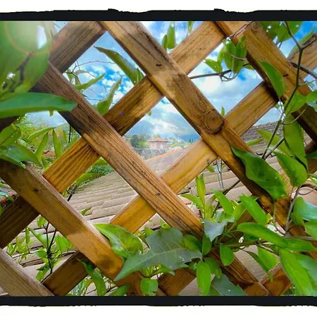 לינה וארוחת בוקר D'hotes Maison E.bernat 4*
