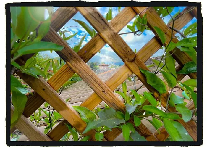 فندق مبيت وإفطار D'hotes Maison E.bernat 4*